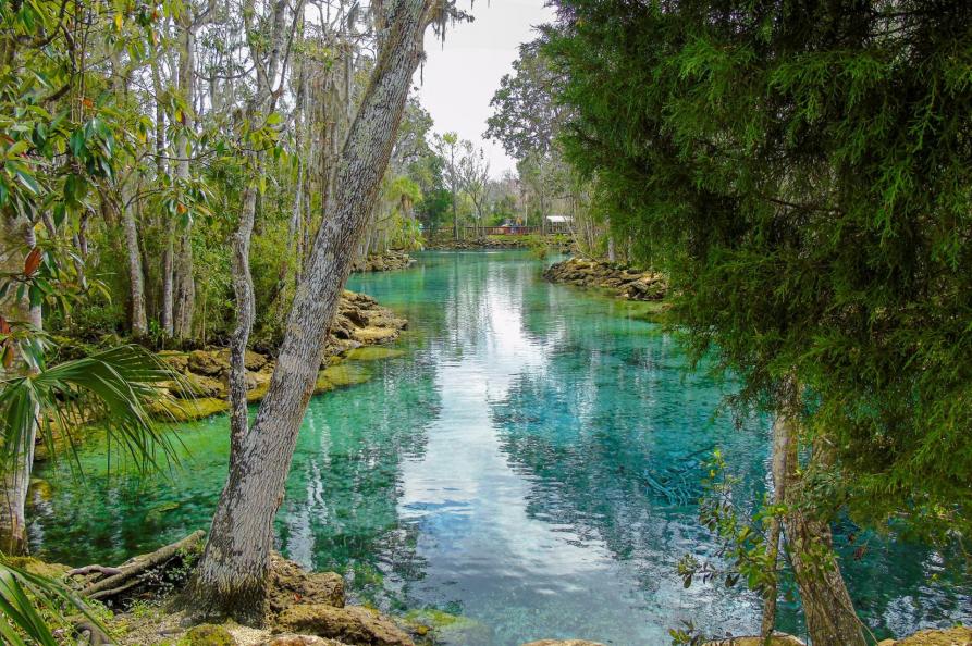 USA - Florida - Crystal River